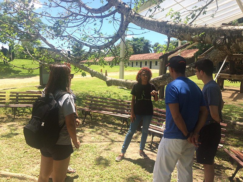 Students find shade in a green brazilian landscape.