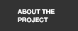 about the project
