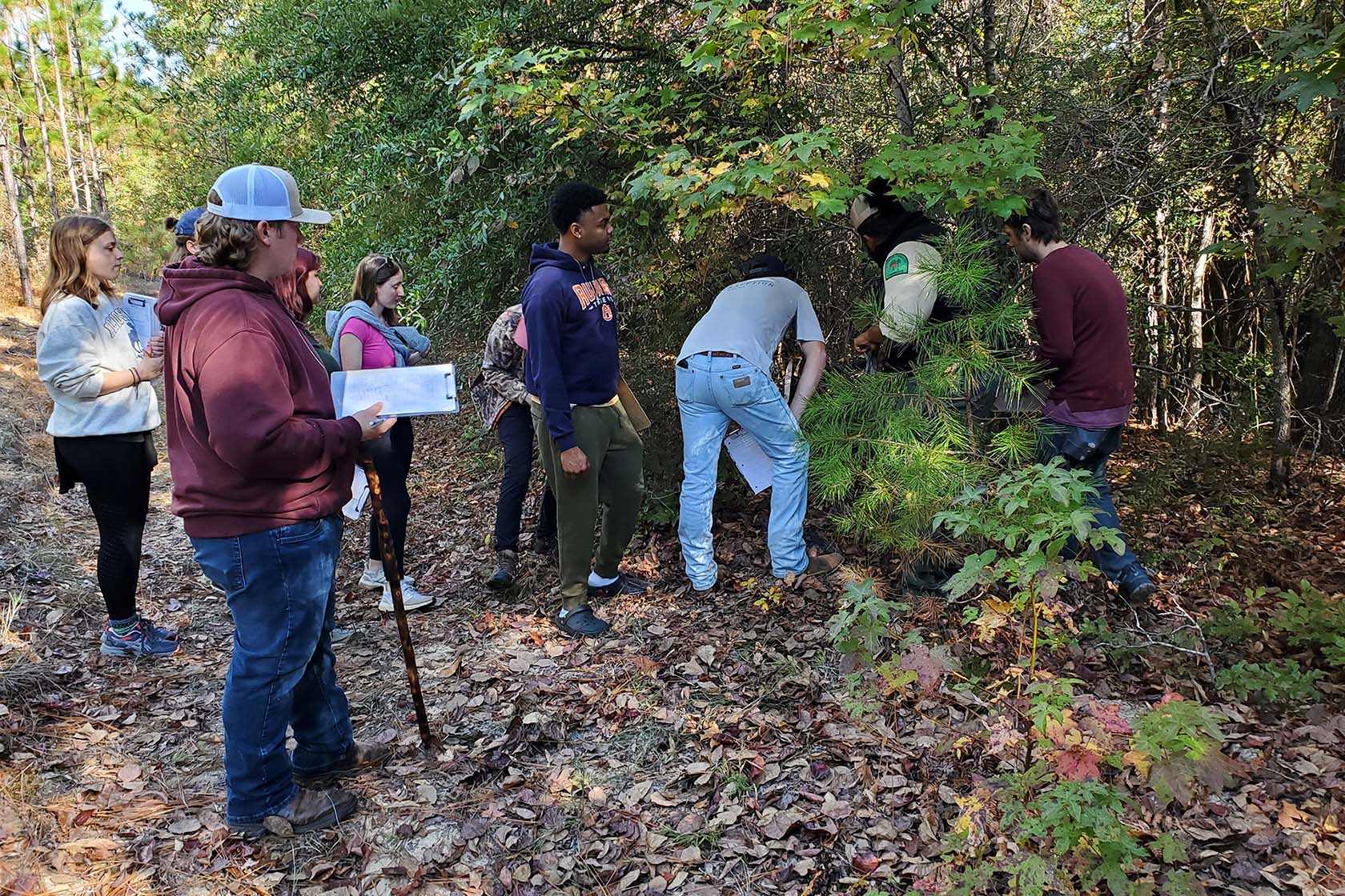 College of Forestry, Wildlife, and Environment in outdoor environment