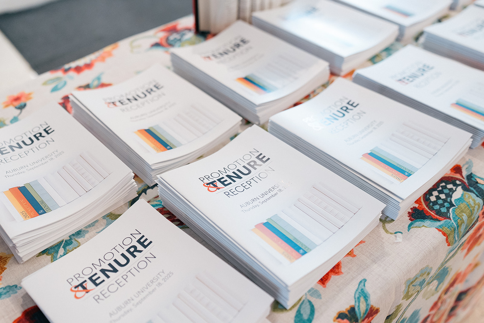 Promotion and Tenure 2024-2025 programs