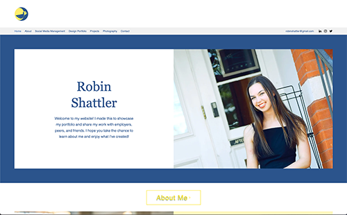 Robin Shattler portfolio