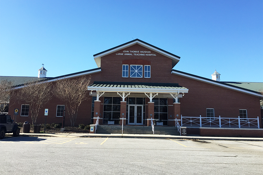 Vet Med Hospitals Auburn University