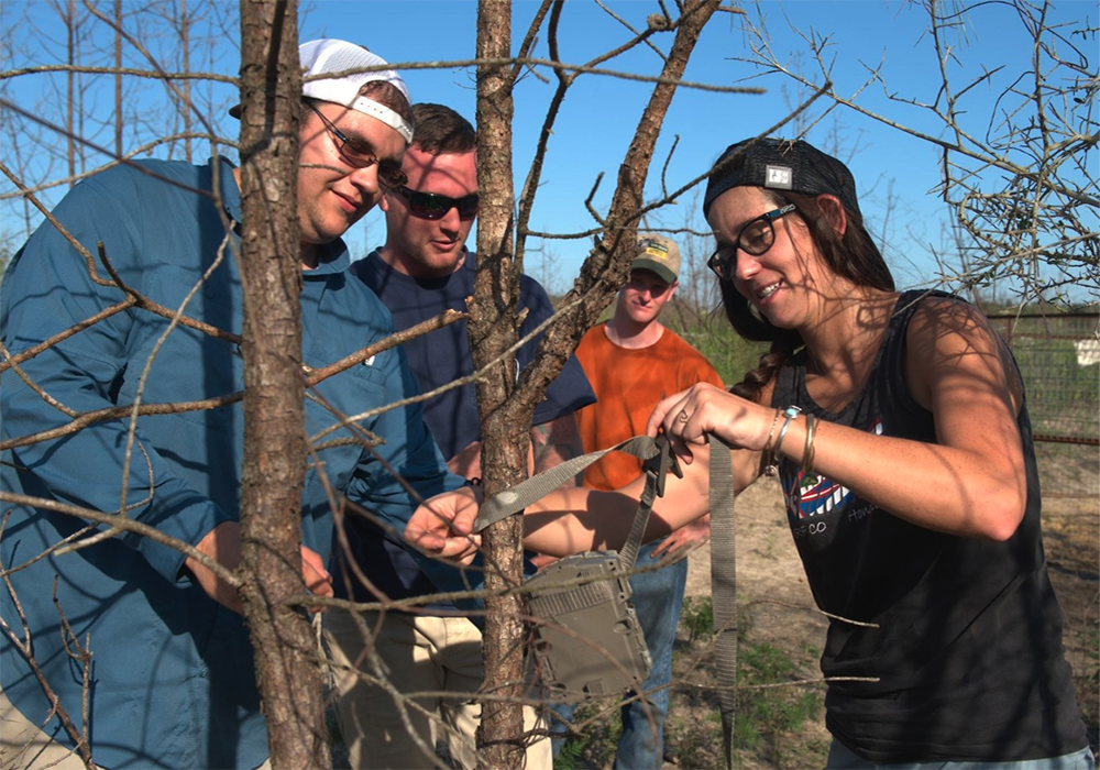 Auburn employees working with trees
