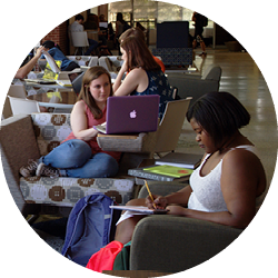 Students work from their laptops.