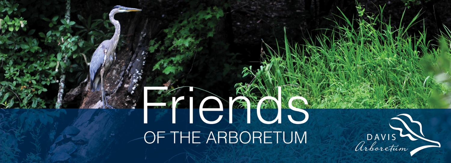 Friends of the Arboretum site banner