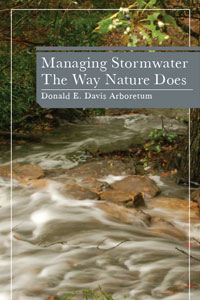stormwater brochure
