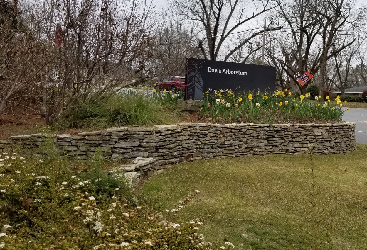 Arboretum Sign on College Street