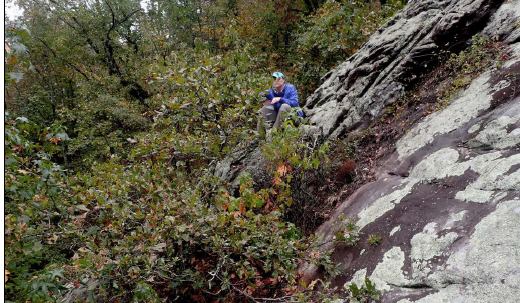 QUBO coming out of a soil pocket on a slope.
