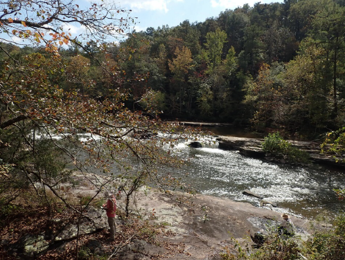 Riparian QUBO habitat in the Cumberland Plateau Physiographic Region.