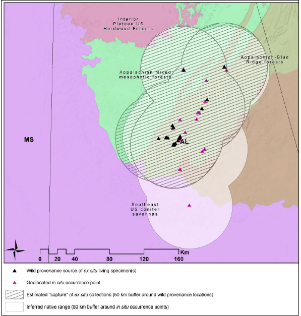 Range and ex situ genetic capture map generated by Global Conservation Consortium for Oak Gap Analysis database Quercus boyntonii records after 2020 Tree Gene Partnership reporting.