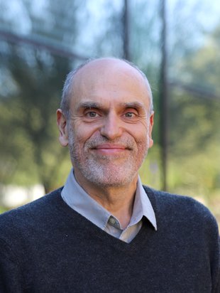 Professor Oscar Bruno 