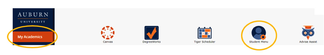 Placement Test Icons