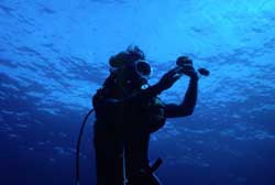 SCUBA diver collecting