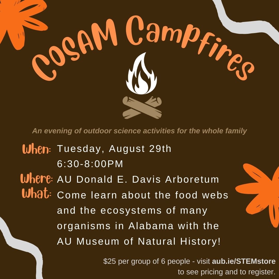 Plan for a fun outdoor evening with your family at COSAM Campfires