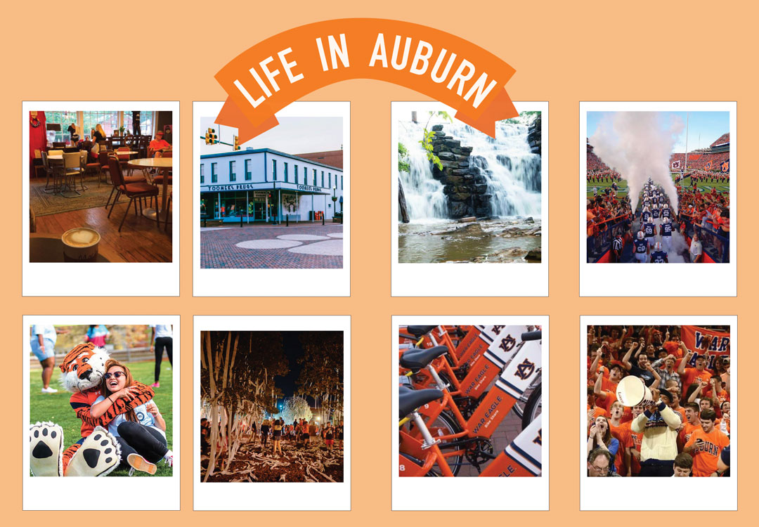 Life in Auburn, Alabama