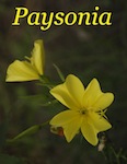 Paysonia Volume 3