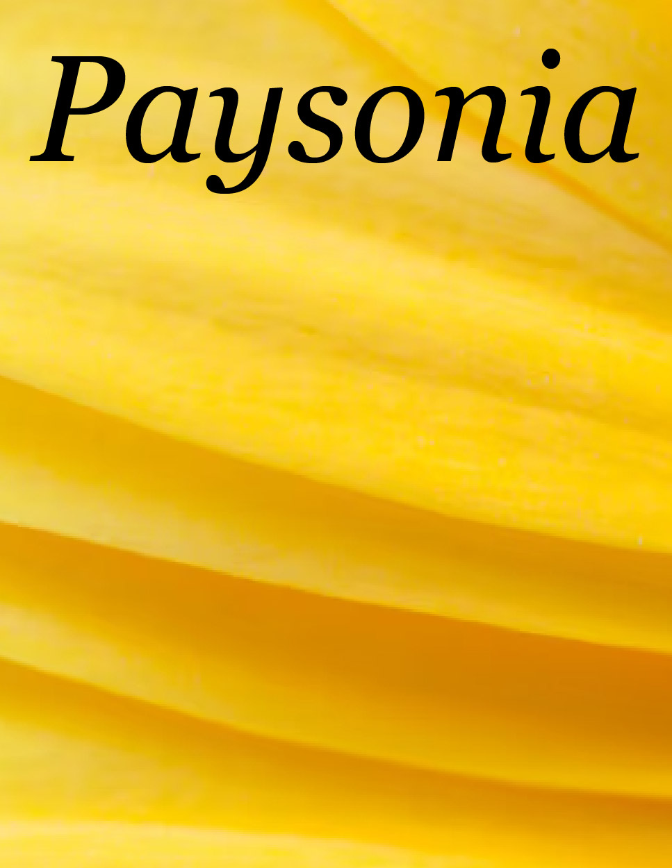 Paysonia Volume 6