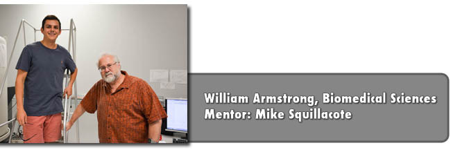 Armstrong and Squillacote