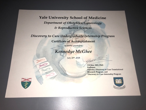 Discovery to Cure Undergraduate Internship Program Certificate from the Yale University School of Medicine.