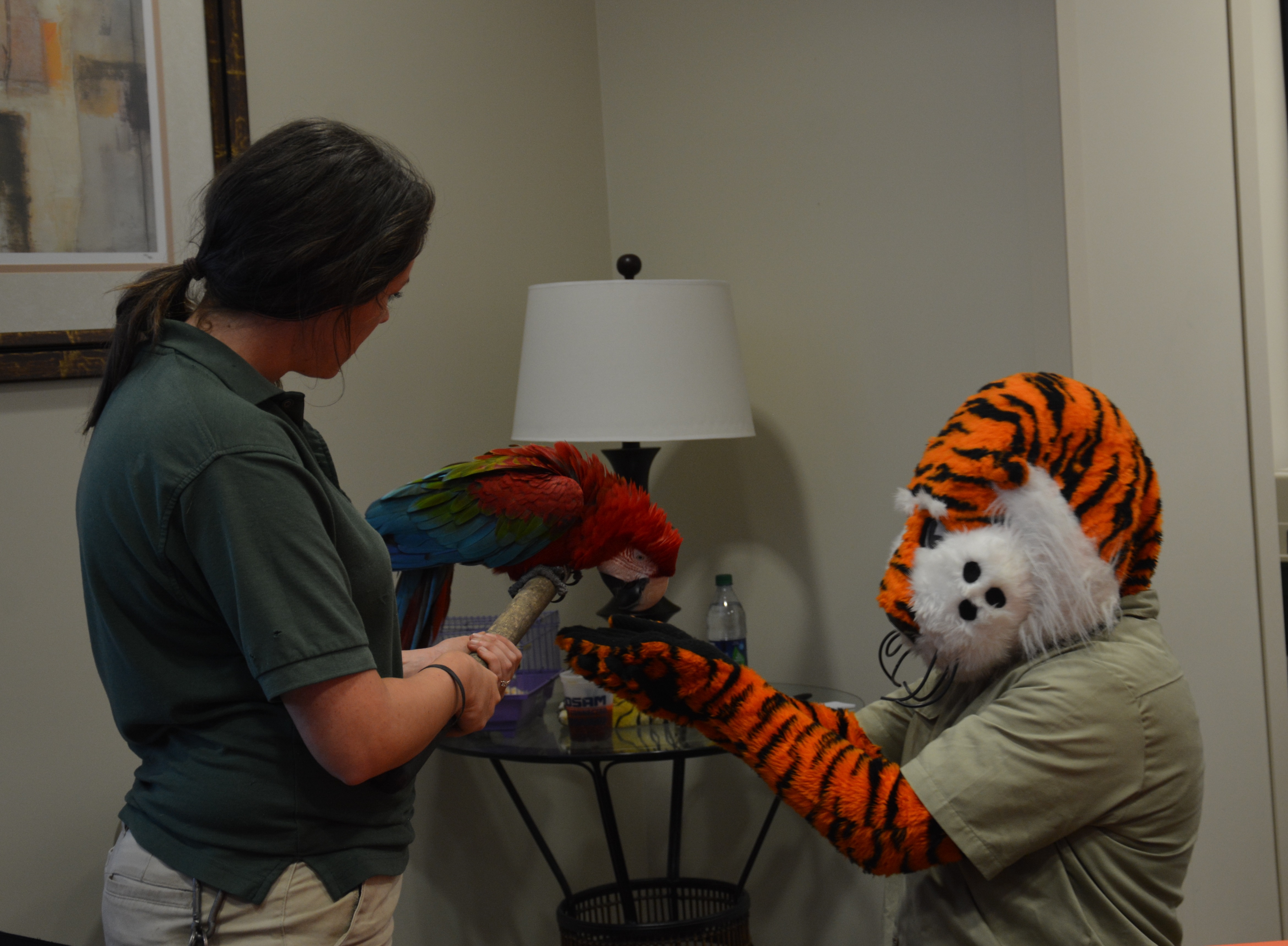 Aubie feeds a parrot at the 2018 COSAM Open House.