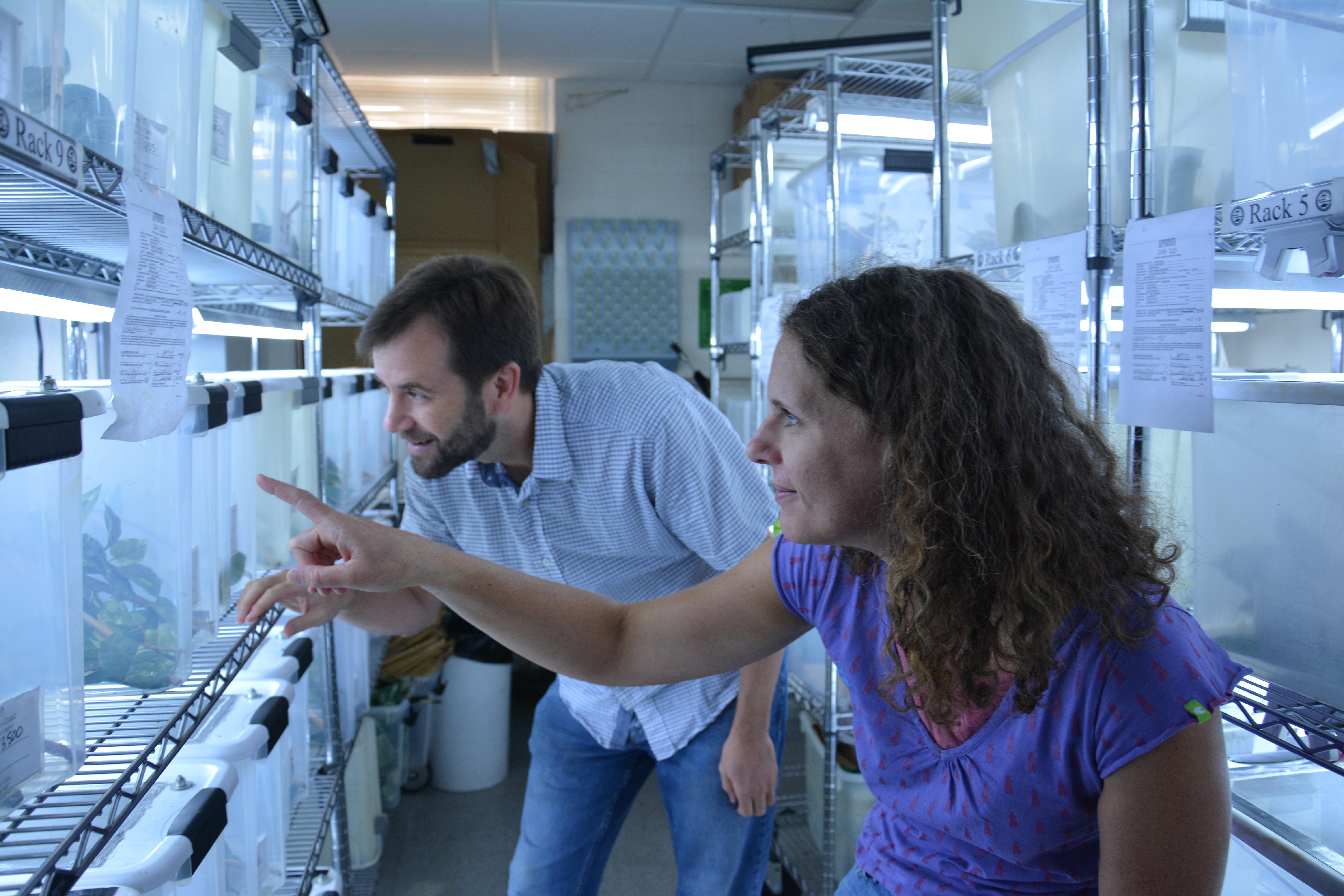 Dr. Warner with a postdoctoral researcher, Dr. Amelie Fargevieille, in the warm and humid lizard room. 