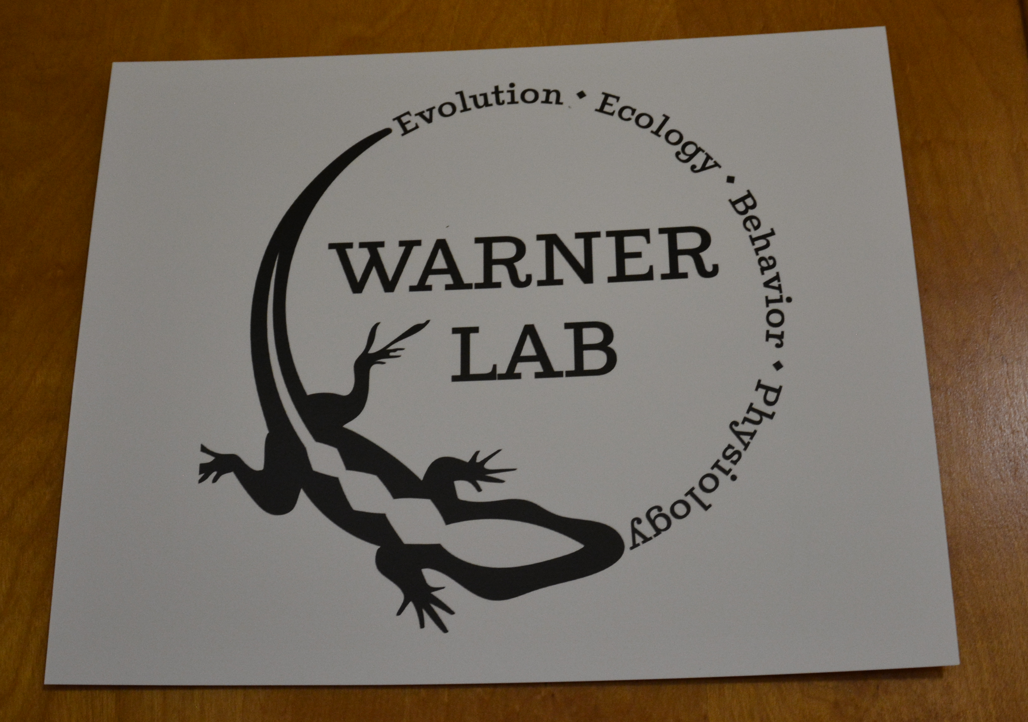 Welcome to the Warner Laboratory. 