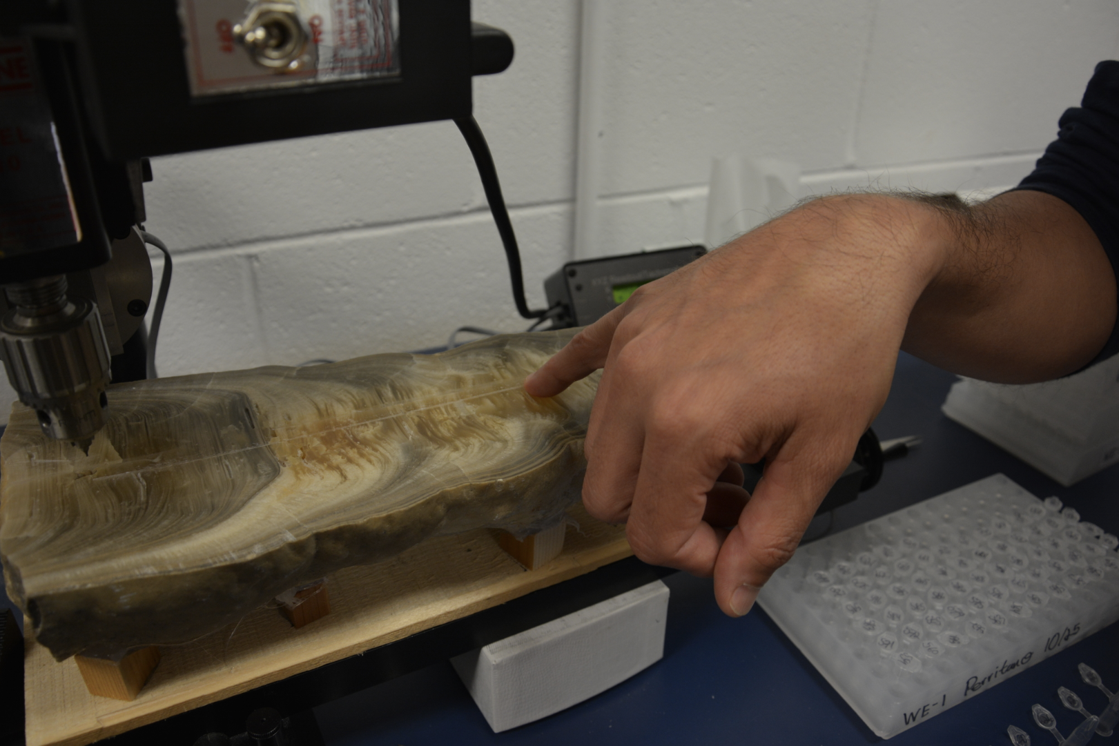 Discovered by a student working in the Medina lab, the stalagmite dates back 12,000 years.