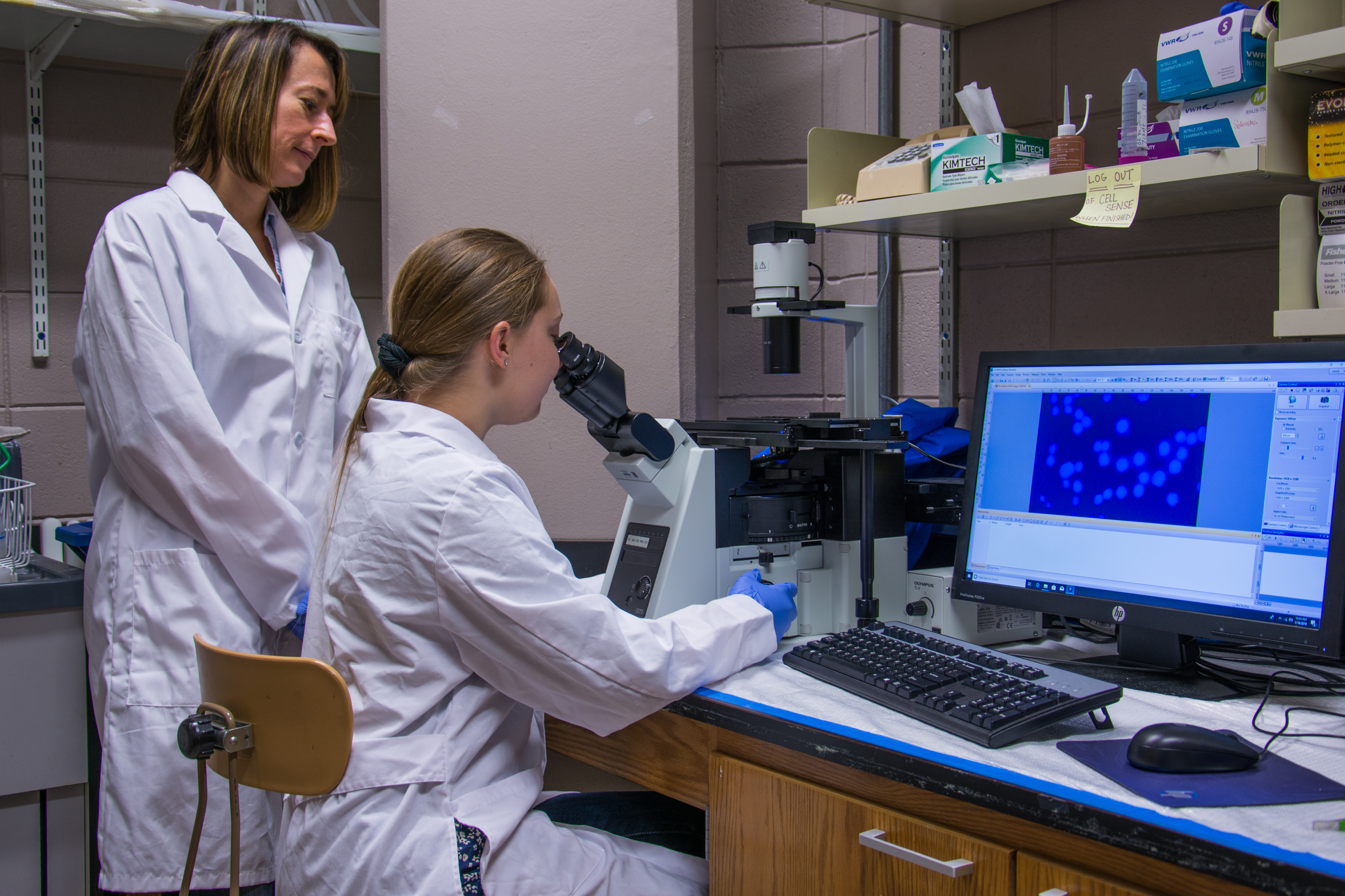 Undergraduate student Sabrina Cline and  Dr. Sztuba-Solinska use fluorescent microscopy to study a sample.