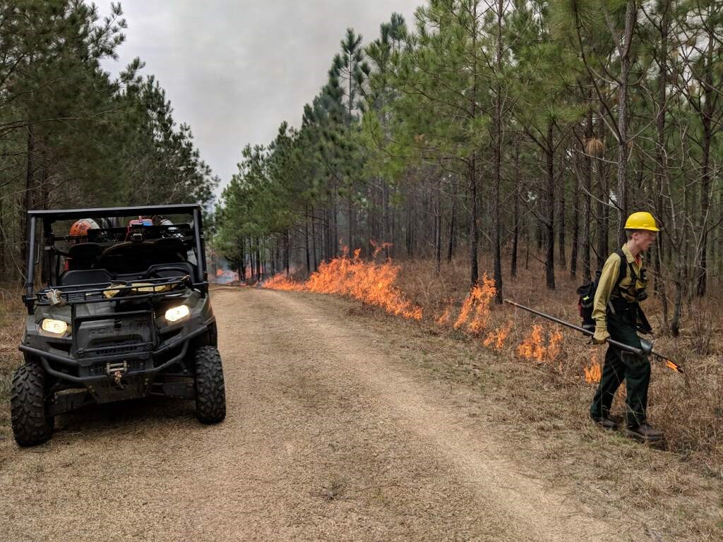 Noah working at a controlled burn in Bibb County, Alabama, with The Nature Conservancy of Alabama. Similar methods will be used to burn Sarracenia habitat for long-term site health in the coming years. 