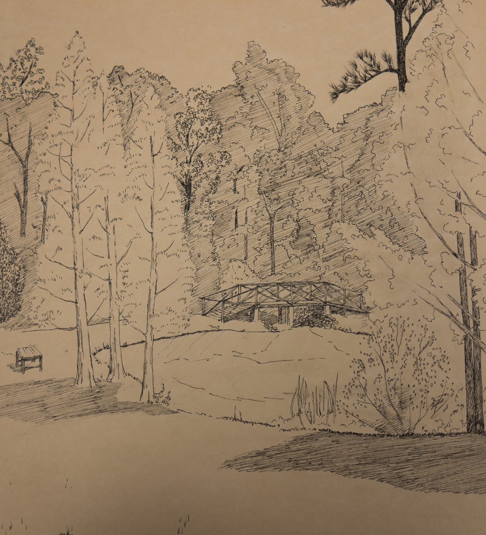 Sketch of the arboretum