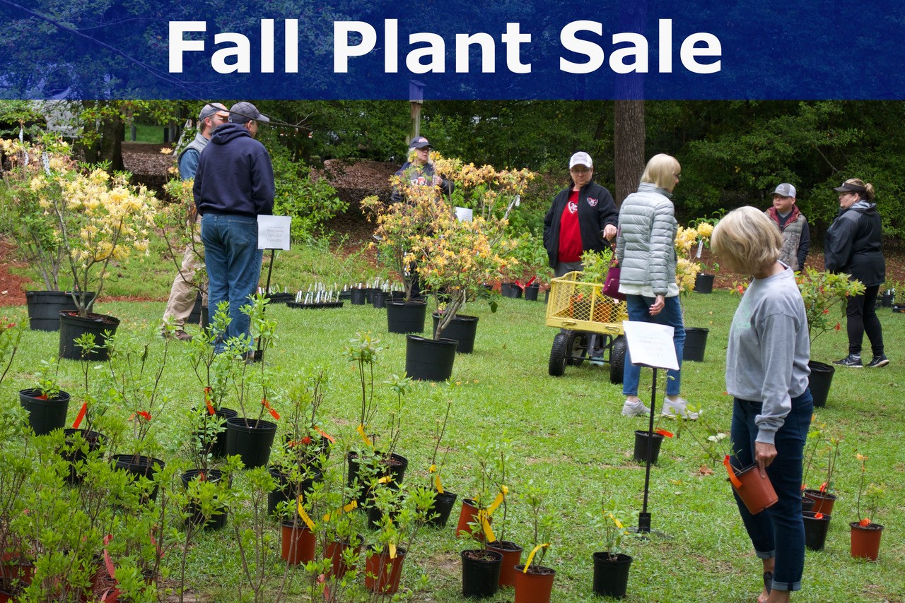 2019 - Arboretum Fall Native Plant Sale