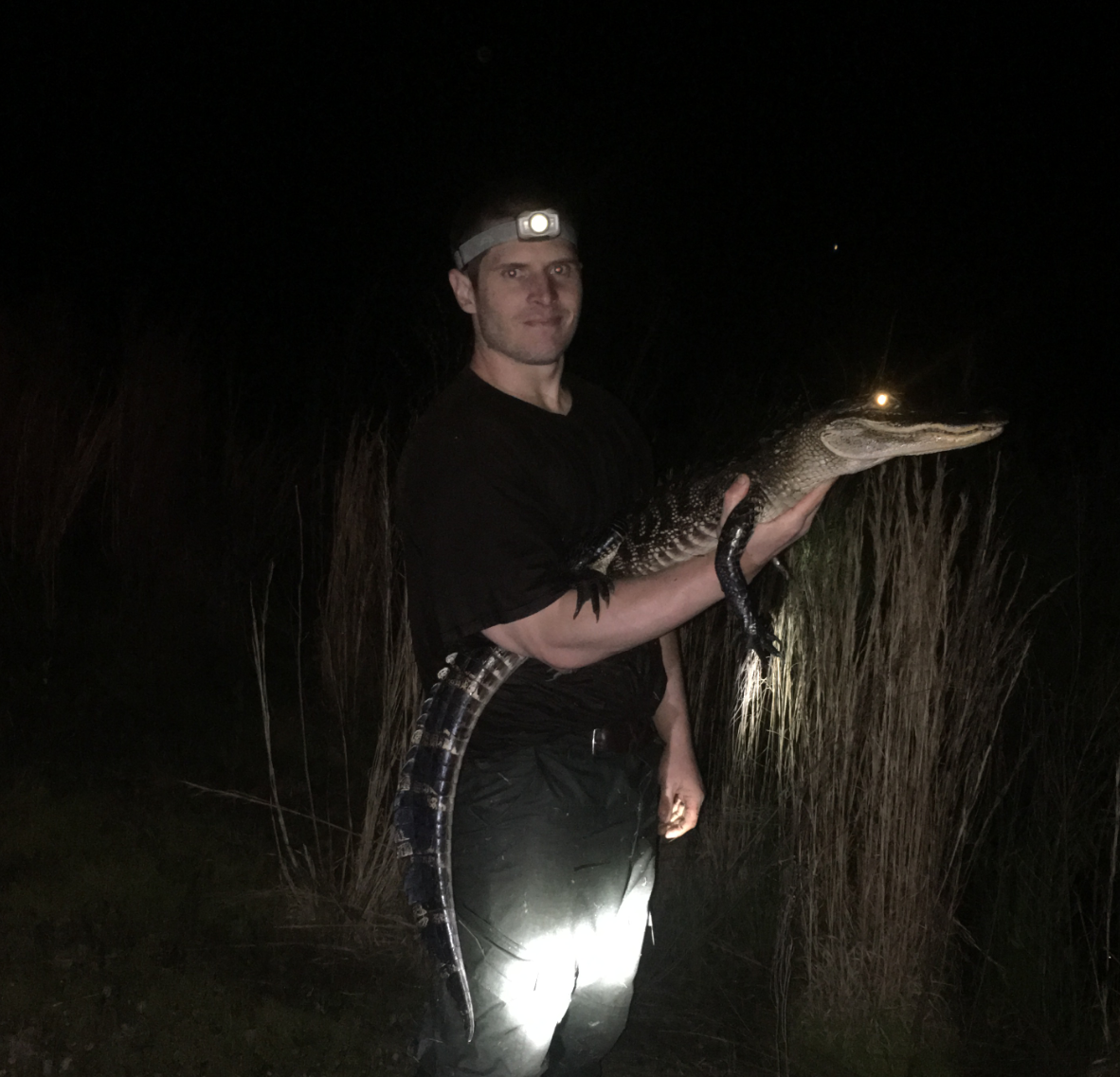 John holding a male alligator (about four feet) at one of our sites in early spring.
