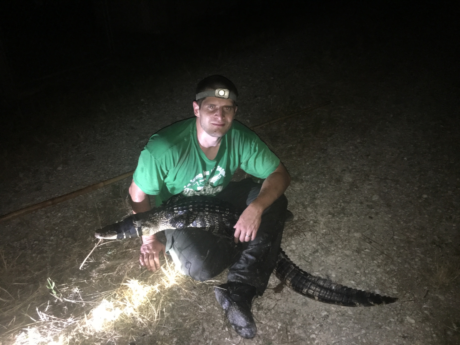 John holding a male alligator (about five feet long) in early summer.