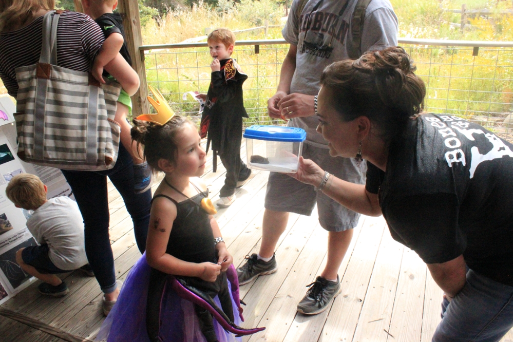 A young attendee is captivated learning about bats.