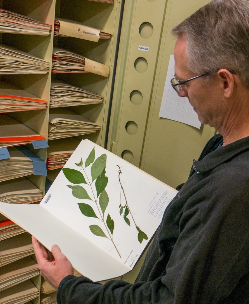 Natural History Museum’s Plant Collection Growing, Evolving Since 1920