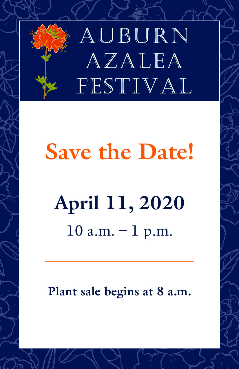 Save the Date: The 2020 Auburn Azalea Festival Occurs on April 11, 2020 at the Davis Arboretum