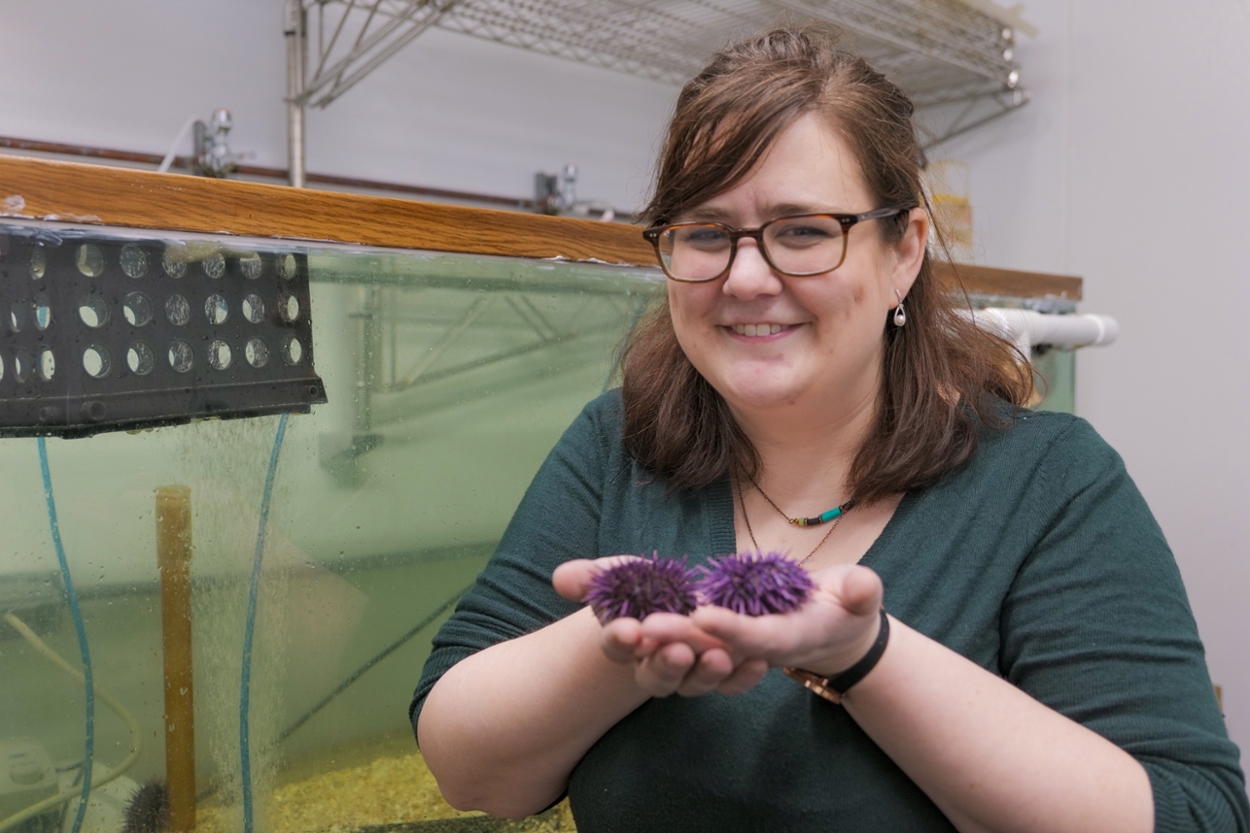 COSAM Faculty Focus - Katherine Buckley, Assistant Professor in the Department of Biological Sciences