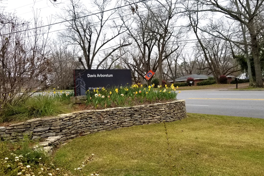 Davis Arboretum Sign
