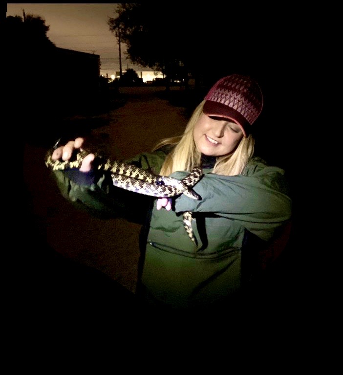 Melissa Miller holding a python snake at night. 