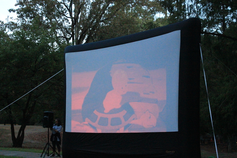 The screen in the Arboretum.
