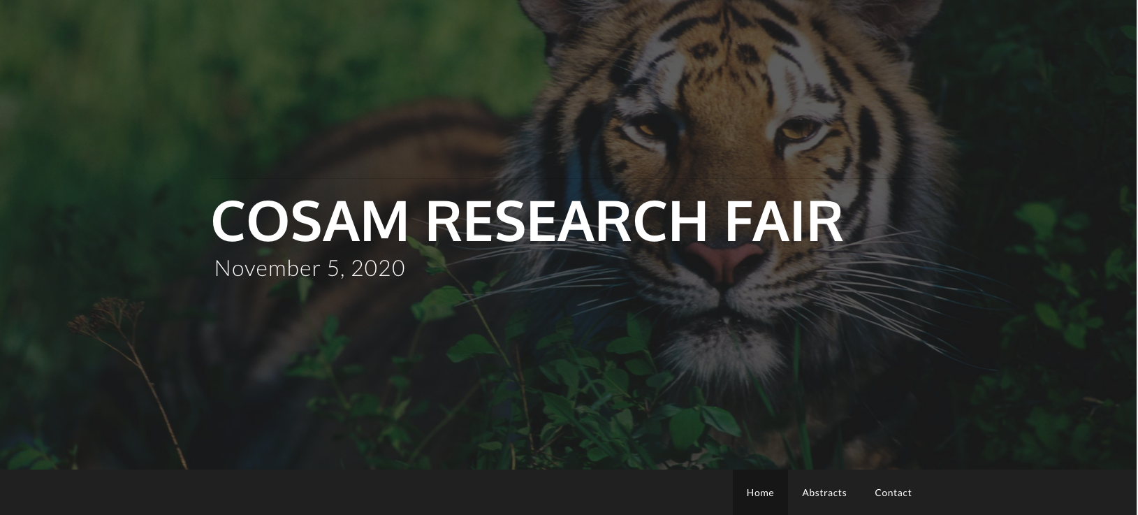 Congratulations to the COSAM Research Fair winners