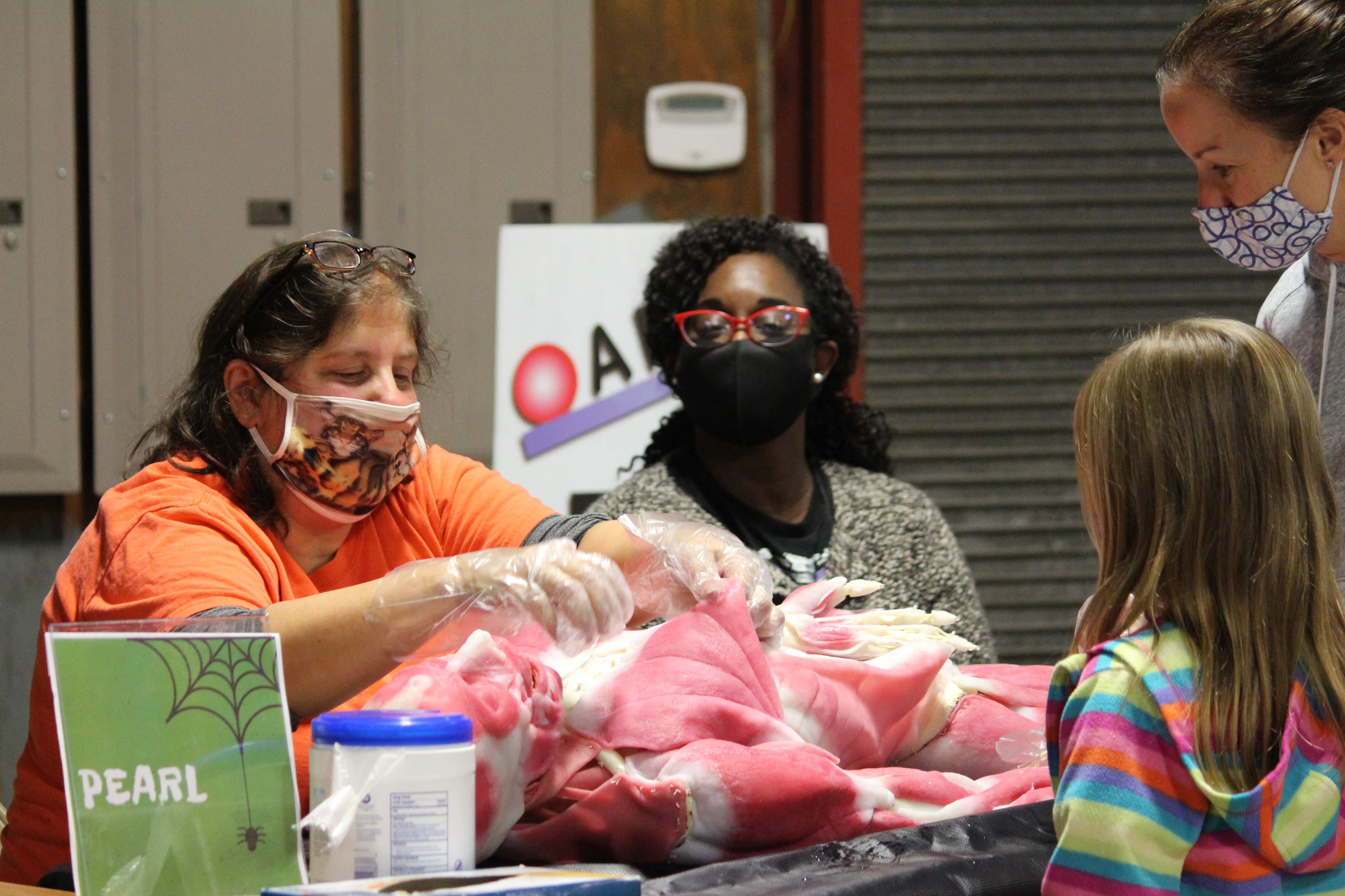 Volunteers show Syndaver model to students