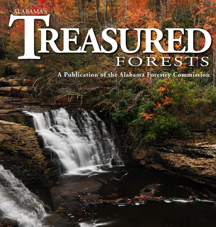 Treasured Forests 