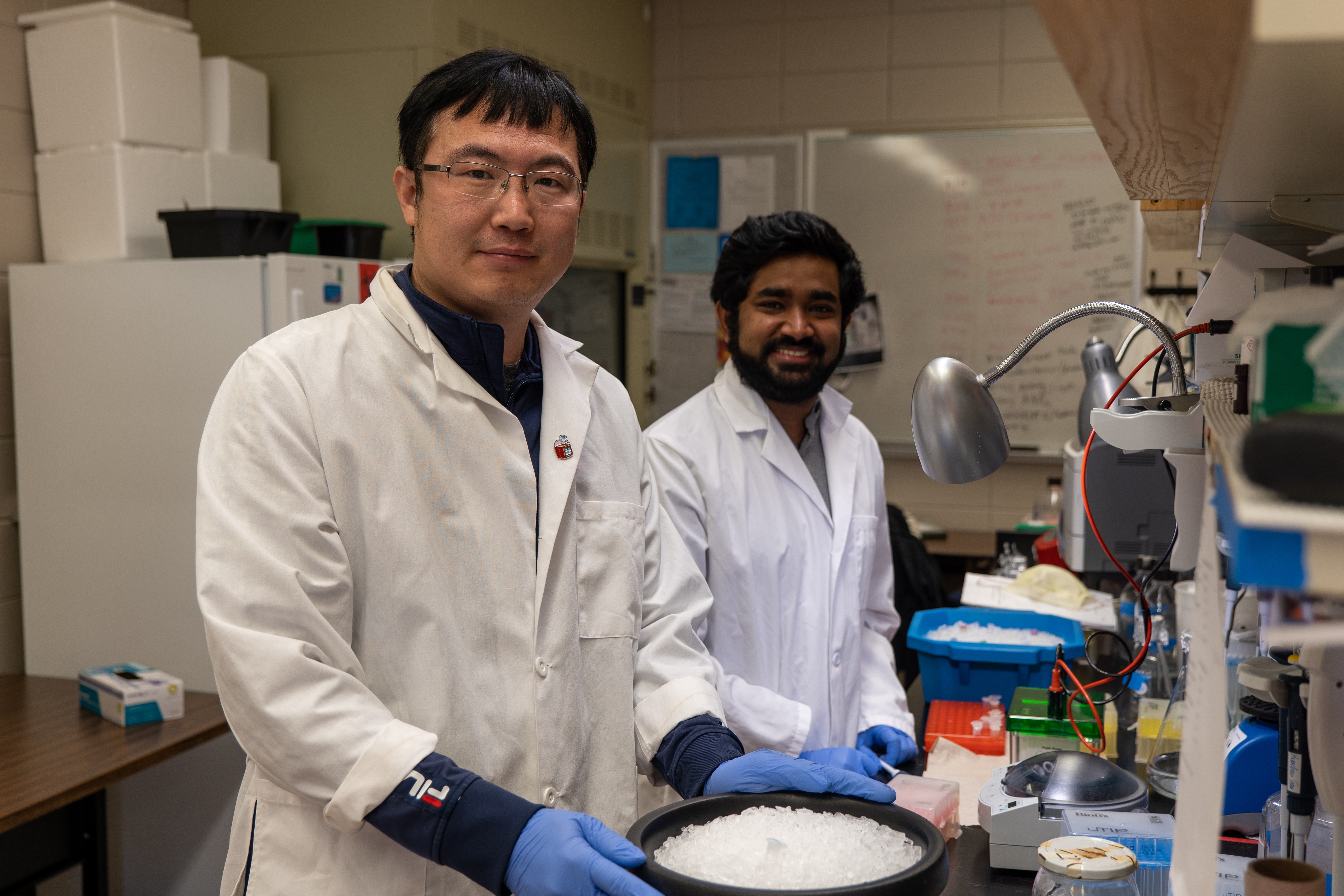 Huachen Gan and Devadatta Gosavi working in the lab.