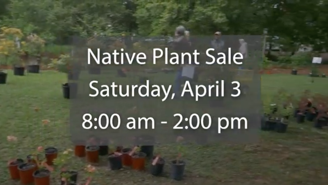 Don't miss the native plant sale at the Davis Arboretum