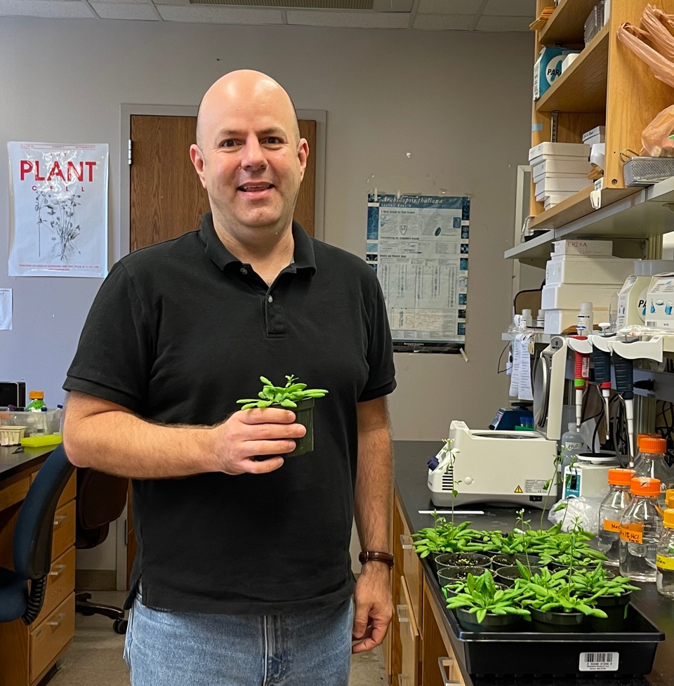 In his lab, Aaron holds the Arabidopsis plant that this NSF grant will support. 