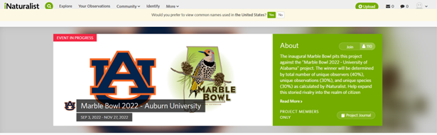 Image of the AU logo and the Marble Bowl logo 