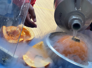 Pumpkins frozen with liquid nitrogen explode into pieces.
