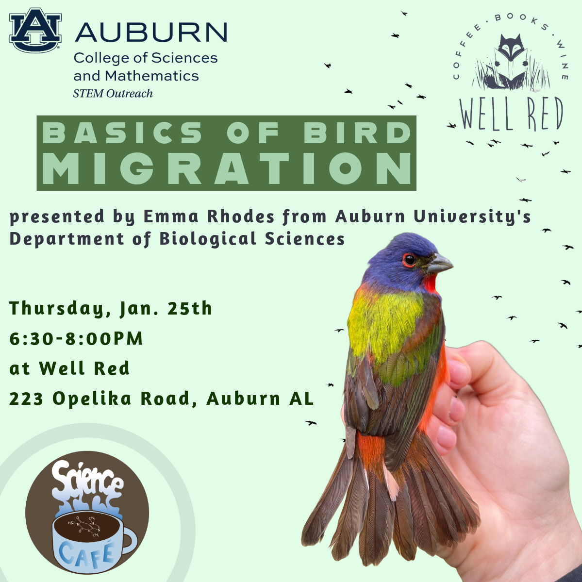 Bird enthusiasts can hear from an Auburn expert about bird migration on Jan. 25