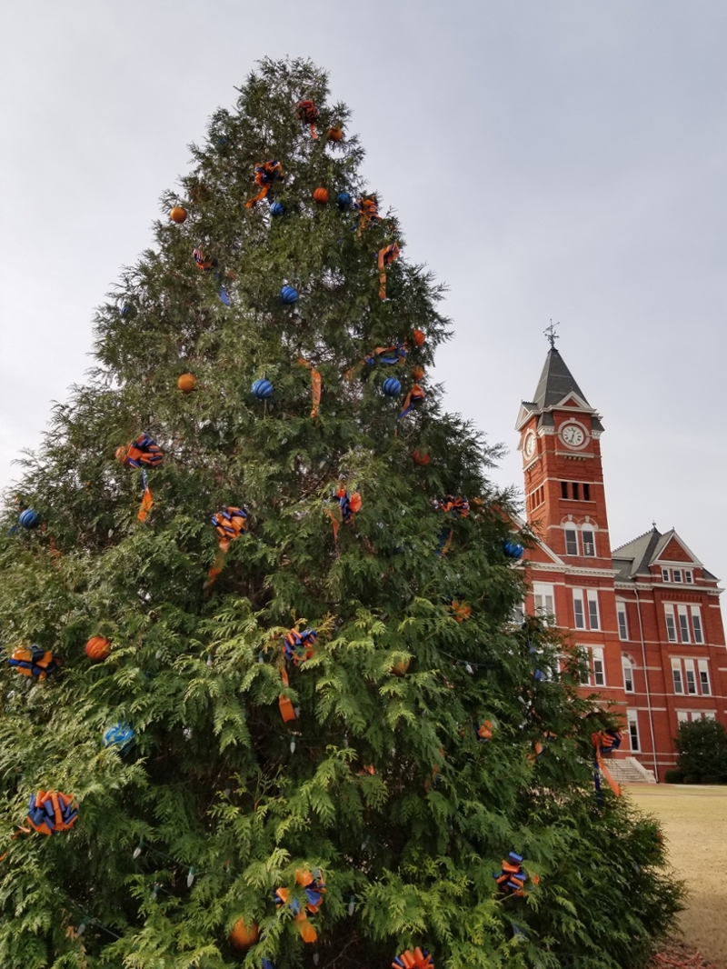 Holiday Tree and Samford Hall